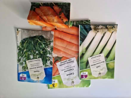 Photo of free Vegetable/herb seeds (Loughton IG10) #2