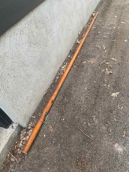 Photo of free Boat Mast (The Glebe) #1