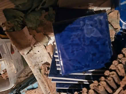 Photo of free Blue tiles and white tiles (Loughborough LE11) #1