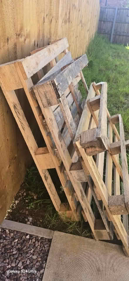 Photo of free 3 Free pallets (DE24) #1