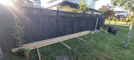 Photo of free pailing timber fence panels (karaka) #2