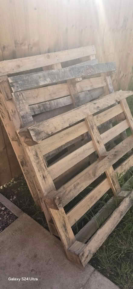 Photo of free 3 Free pallets (DE24) #2