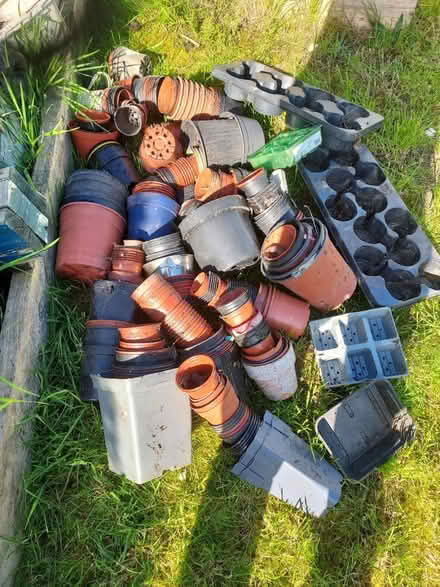 Photo of free Plastic growing pots (High green S35) #1