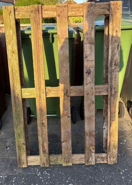 Photo of free Pallet (Eastbourne BN23) #1