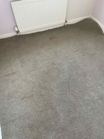 Photo of free Carpet (Pelaw NE10) #1