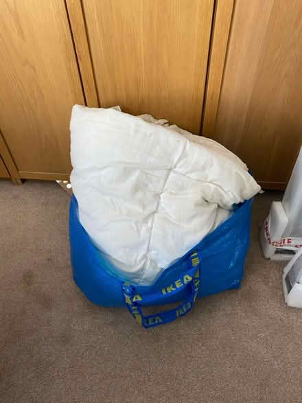 Photo of free Double quit (Dorking Town Centre RH4) #1