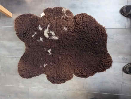 Photo of free Brown Sheepskin Rug (Upper Weston BA1) #1