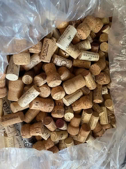 Photo of free Corks (Reigate RH2) #1