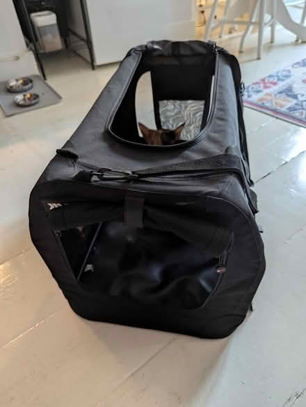 Photo of free RAC Medium Fabric Pet Carrier (SE3) #4