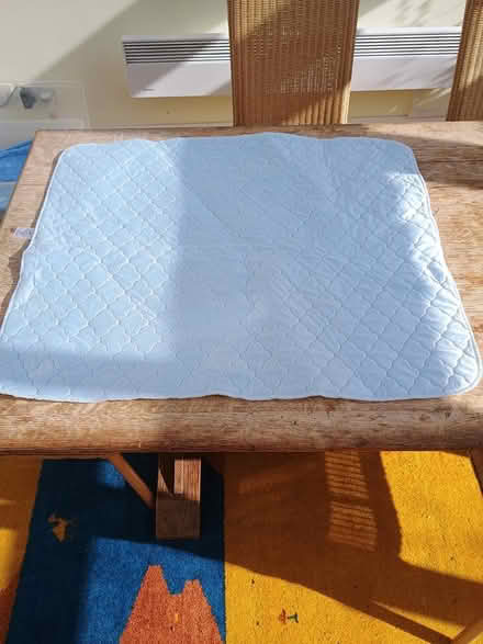 Photo of free 4 Kylie bed protectors (Bookham) #2