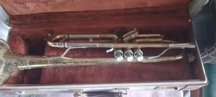 Photo of free Three old horns (Hyde Park, near McDonalds) #1