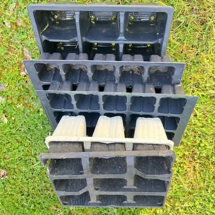 Photo of free Seed trays (Presteigne LD8) #1