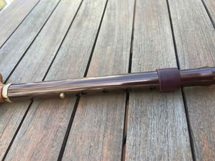 Photo of free Adjustable walking stick (BT10) #2