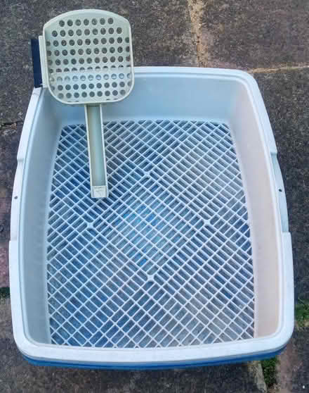 Photo of free Lift and Sift cat litter tray (east twickenham) #1