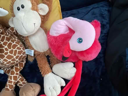 Photo of free Soft toys looking for a new home (Redbourn, AL3) #2