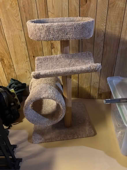 Photo of free Cat play structure (Orleans) #3