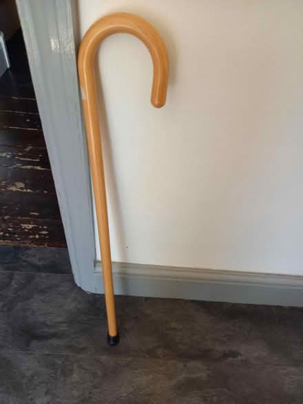 Photo of free Walking stick (SE9) #1