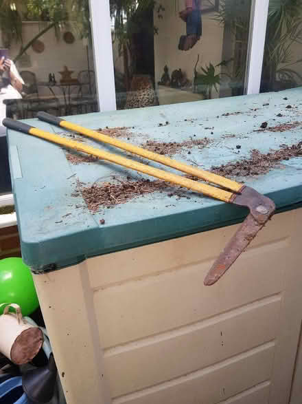 Photo of free Garden edge trimmers. (Orpington BR5) #1