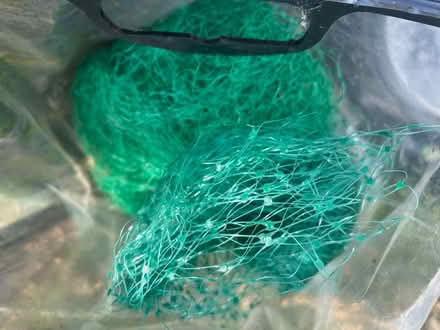 Photo of free Garden Netting (Ballumbie DD4) #1