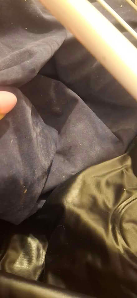 Photo of free Air beds single and double (Nr30) #3