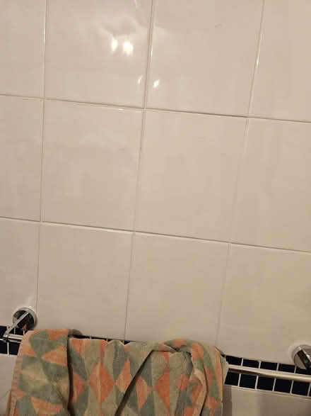 Photo of free Blue tiles and white tiles (Loughborough LE11) #4