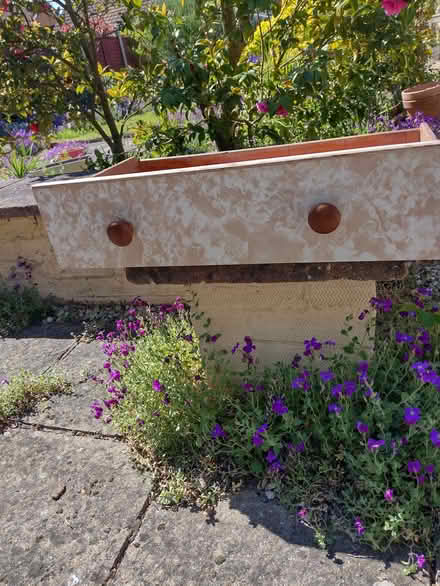 Photo of free Single drawer (Alresford CO7) #1