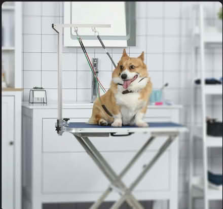 Photo of Dog grooming table (Whittle Hill NE61) #1