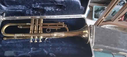 Photo of free Three old horns (Hyde Park, near McDonalds) #2