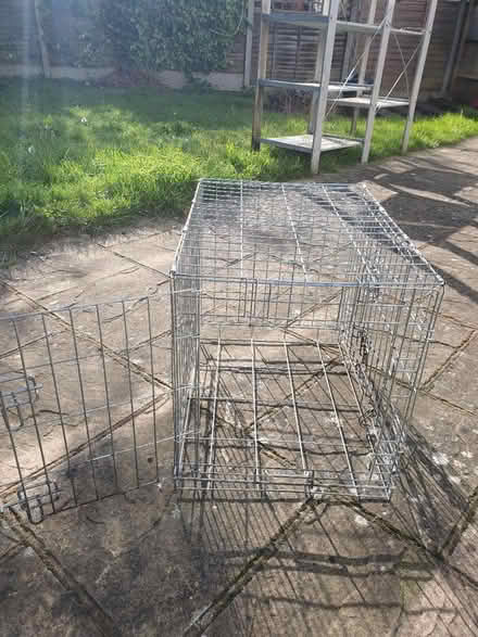 Photo of free dog crate (WD25 Woodside) #2