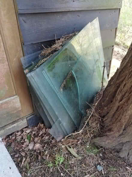 Photo of free Greenhouse Glass (Burnbanks CA10) #1