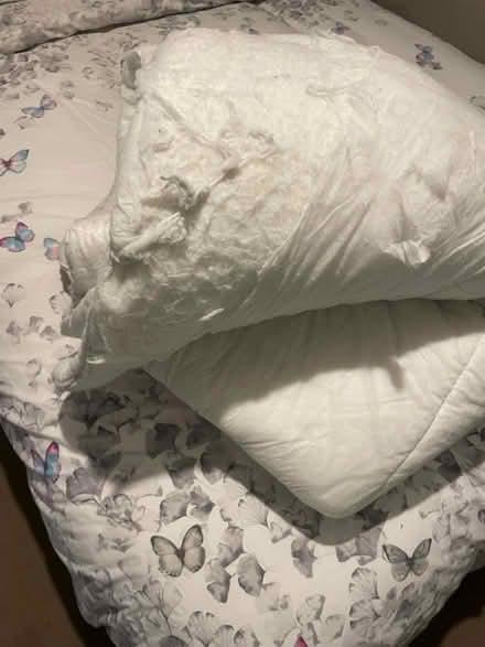 Photo of free King duvet (Witton Gilbert DH7) #2