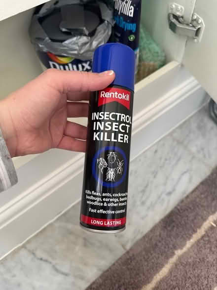 Photo of free Cleaning products some unopened (Kensington Gardens W2) #2