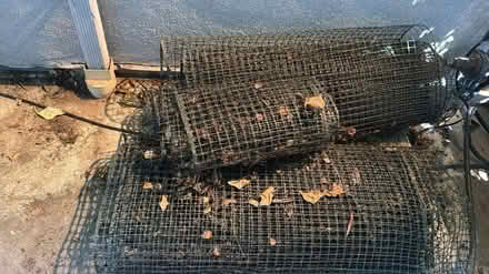 Photo of free Net (Sherman Oaks) #1