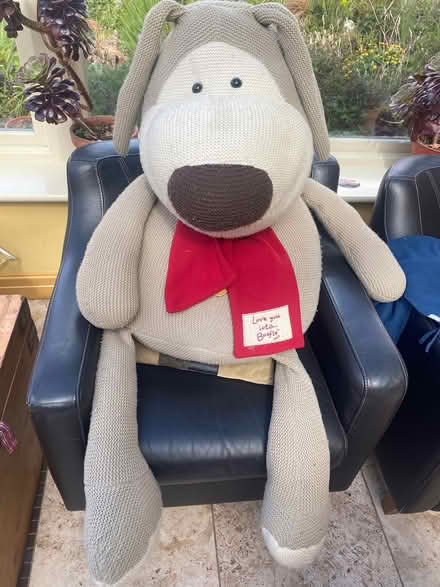 Photo of free Large Boofle toy Dog (Cyncoed CF23) #1