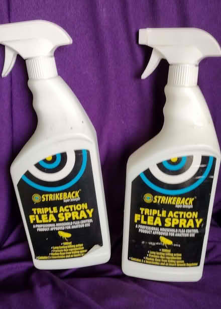 Photo of free Flea Spray (West Marina TN38) #1