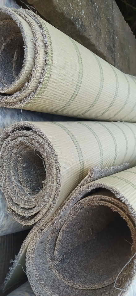 Photo of free Carpet and underlay (Dereham NR19) #2