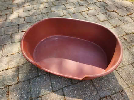 Photo of free Dog Bes (Med/Small) (Haywards Heath RH16) #1