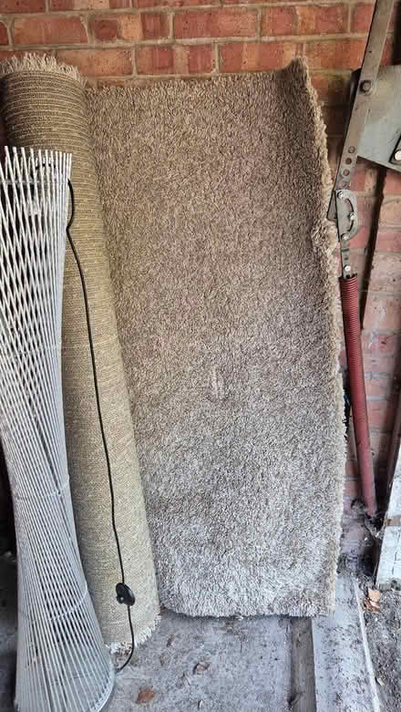 Photo of free Beige shagpile rug (Winchester) #1