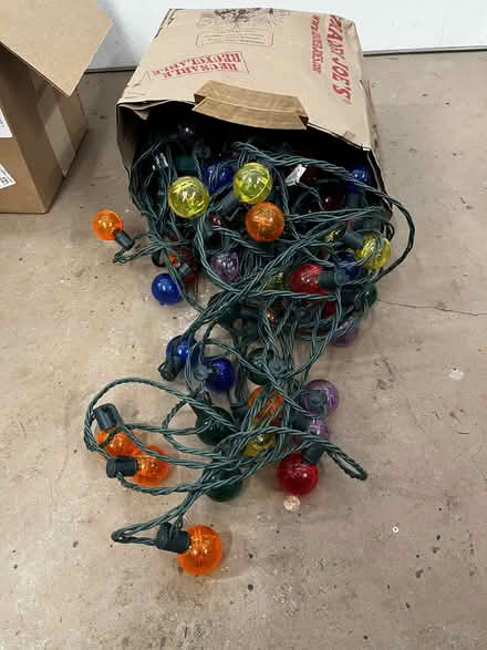 Photo of free LED Round Xmas Lights (Novato) #1