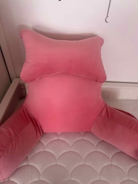 Photo of free Reading Pillow (NG3 5FB) #2
