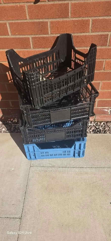 Photo of free 6 plastic crates (DE24) #1