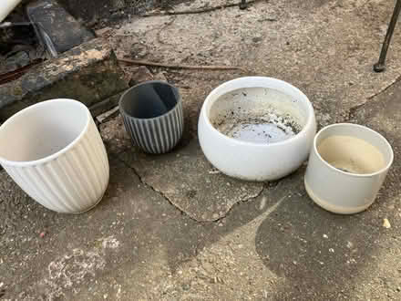 Photo of free Pots (Shrewsbury) #1