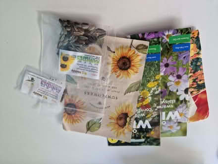 Photo of free Flower seeds (Loughton IG10) #1