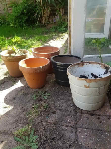 Photo of free Five plant pots (Orpington BR5) #1