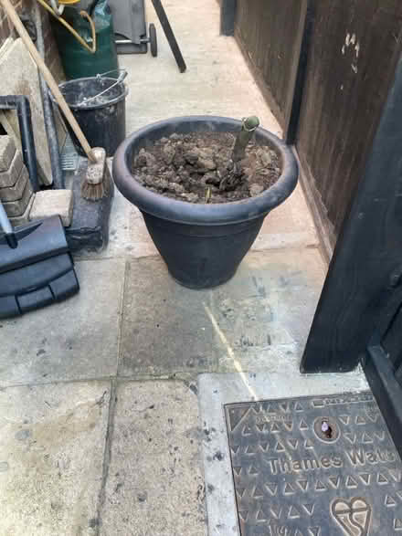 Photo of free Large planter full of mud (Morden SM4) #2