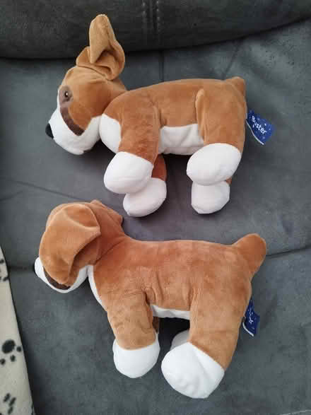 Photo of free John Lewis Buster Boxer Soft Toys (West Bletchley MK3) #1