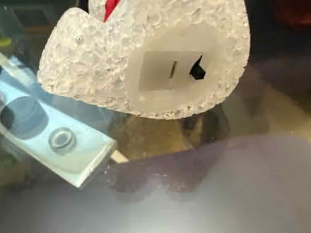 Photo of free Light up polar bear (Eastlake) #2