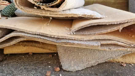 Photo of free Carpets and underlay (Bridge of Allan FK9) #4
