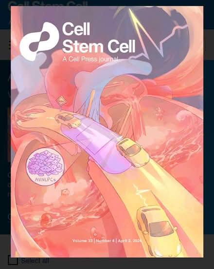 Photo of Cell Stem Cell - 2 April 2026 issue (Wood Farm - Headington OX3 8TG) #1