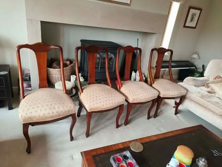 Photo of free Dining chairs (Spring Wood HD9) #1